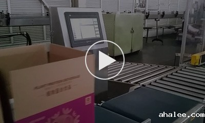 食品在线称重检重解决方案